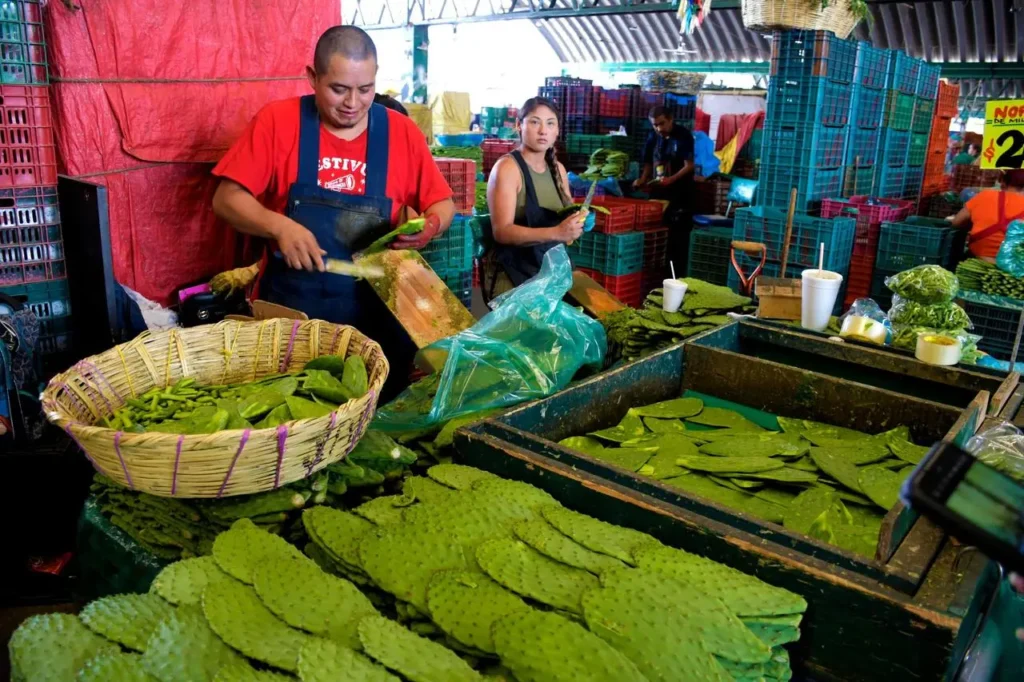 Mexico's markets safeguard and enhance the value of its culinary culture through handicrafts, ingredients, beverages, utensils and a wide variety of recipes interpreted by craftsmen, traditional cooks and chefs. Photo: Ministry of Tourism