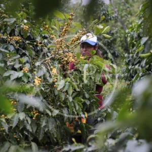 Mexico presents the campaign 'Order a Mexican coffee'