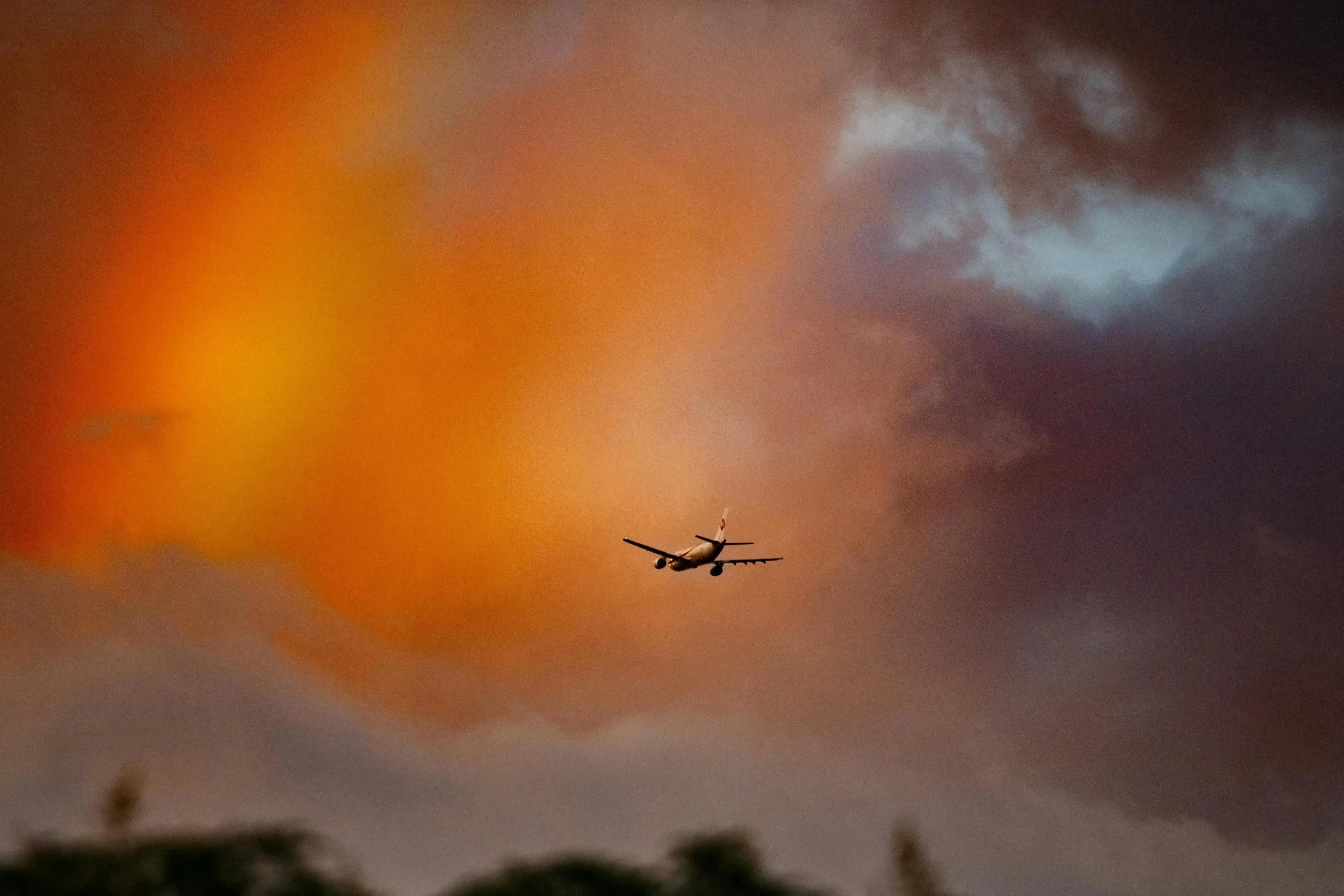 More than 6.12 million foreign tourists arrive in Mexico by air during the first quarter of the year. Photo: Ministry of Tourism