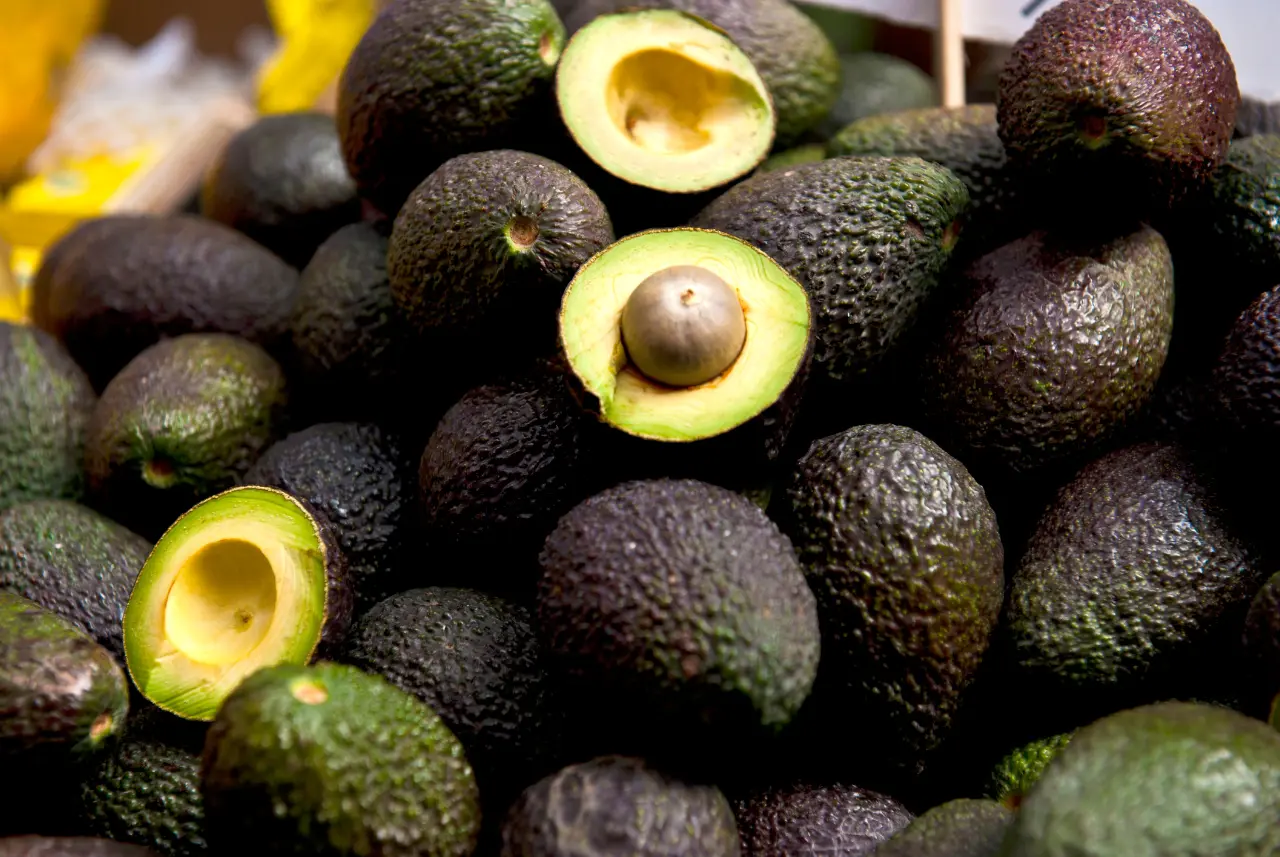 Mexico will begin exporting Hass avocados to Brazil after both countries signed an Operational Work Plan (PTO) outlining the phytosanitary rules for the trade, the Ministry of Agriculture and Rural Development announced.