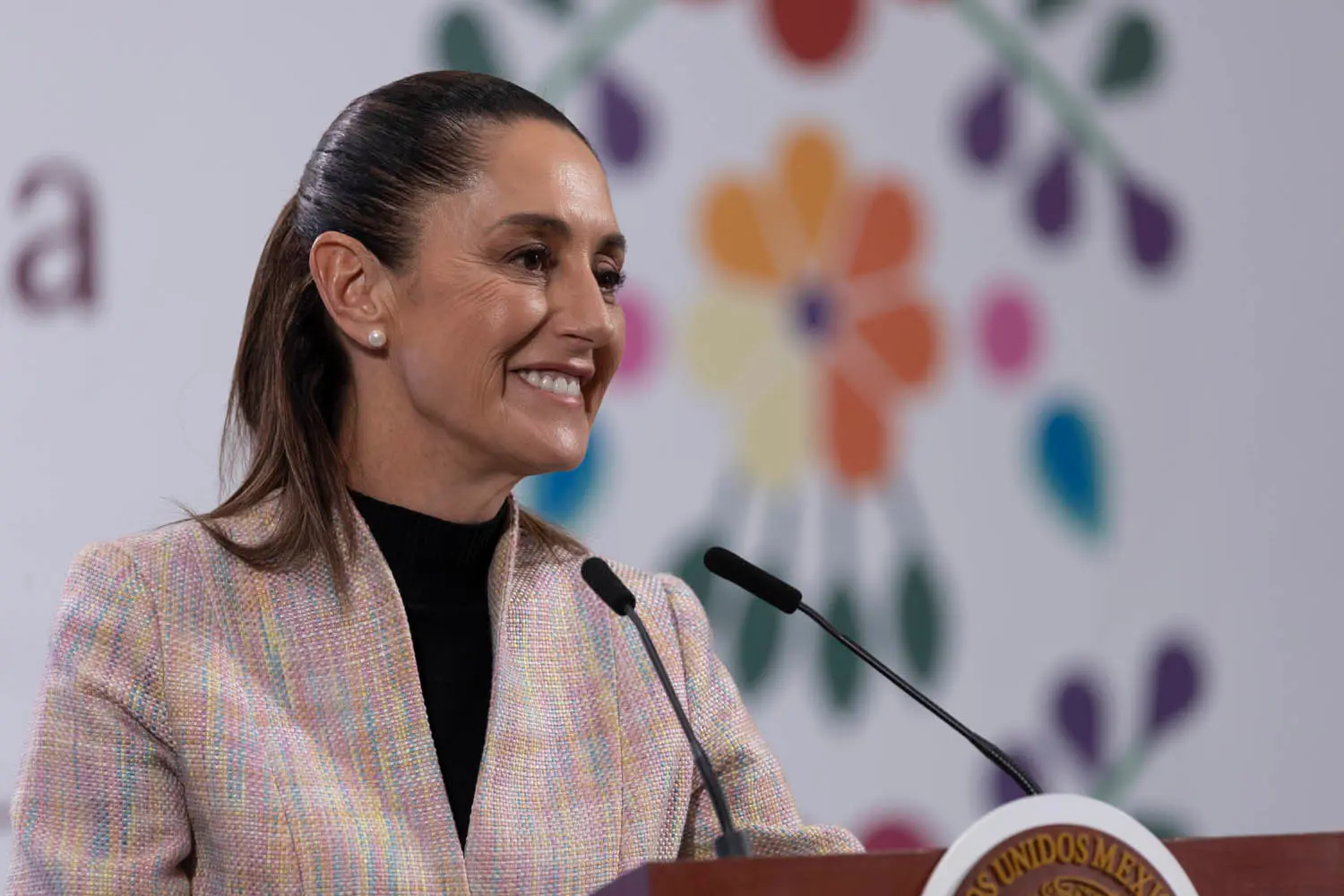 Morning Presidential Press Conference. Tuesday, July 29, 2025. Photo: Government of Mexico