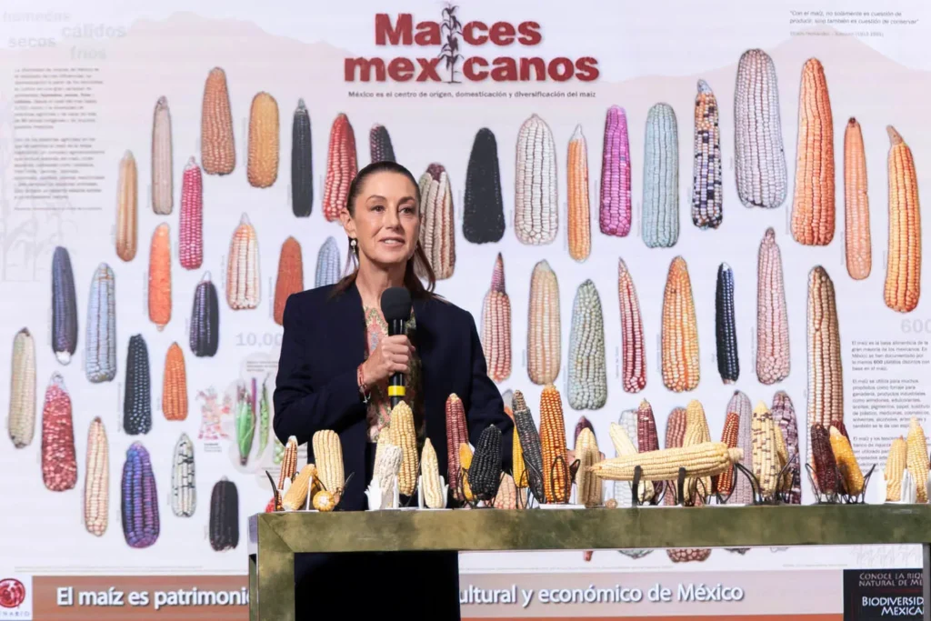 These are the key points of President @Claudiashein 's conference on Thursday, September 29, 2025. Photo: Government of Mexico.