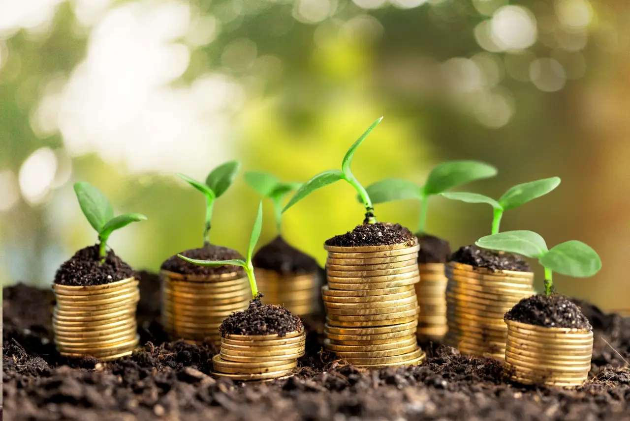 Mexico is in fourth place among Latin America’s most attractive countries for sustainable investment, according to a study by Exness Insights.