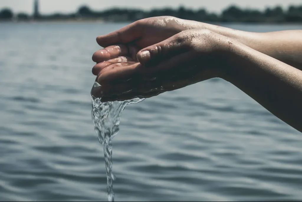 Amid the growing water crisis that threatens millions of people across the country, the Sierra de Guadalupe, located north of the Valley of Mexico, stands out as an example of how collaboration between the private sector and civil society can provide concrete responses.