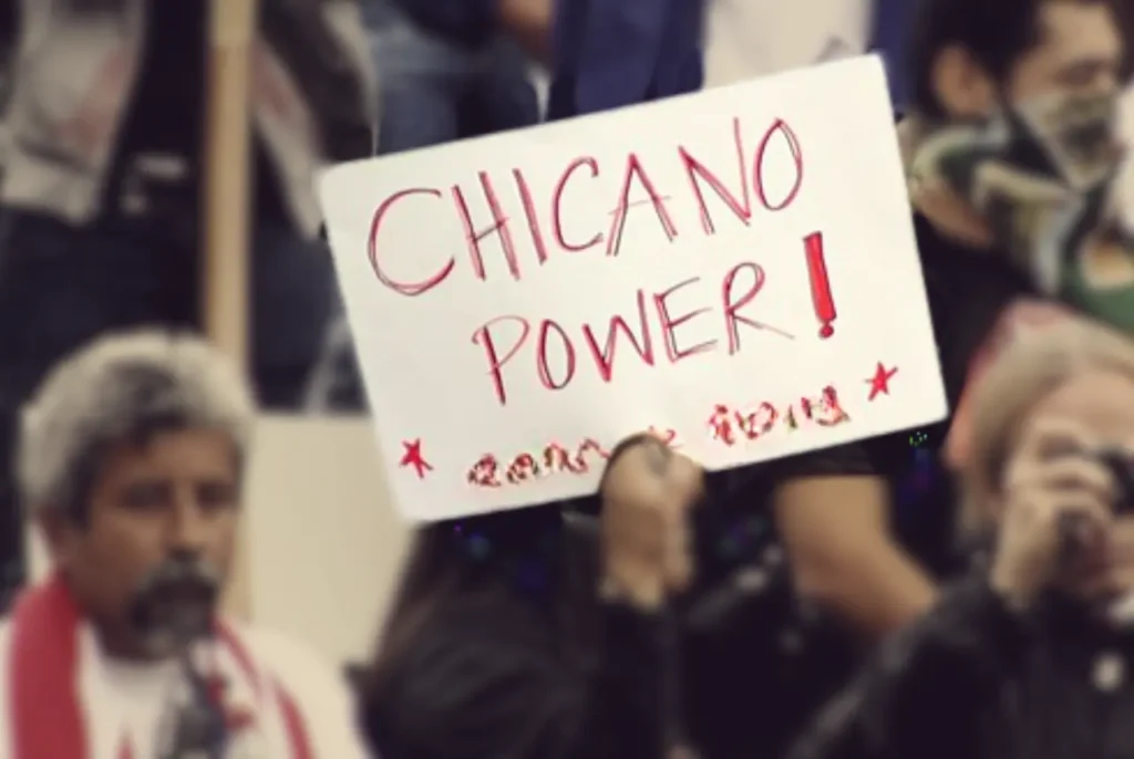 The Chicanx movement affected a series of social changes, formed attitudes, created organizations, institutions, impacted music, art, culture, literature, and language.