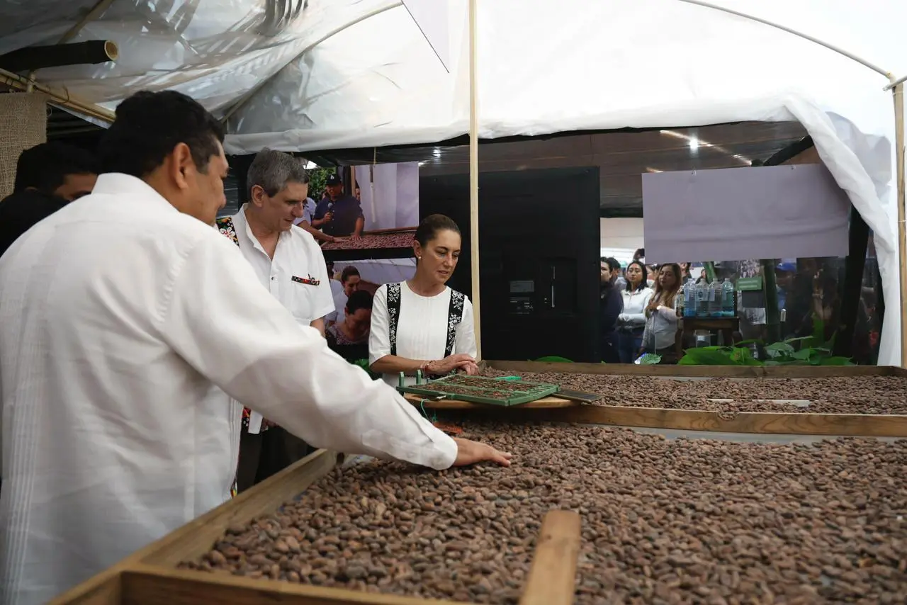 The federal government will invest 80 million pesos to build a new chocolate plant in the municipality of Comalcalco, Tabasco. Photo: Government of Mexico.