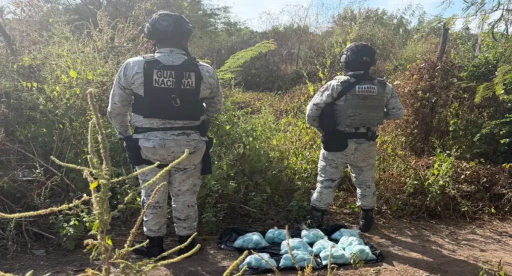 The Mexican Government's Security Cabinet reports on the results of Operation Northern Border on November 6, 2025. Photo: Government of Mexico.