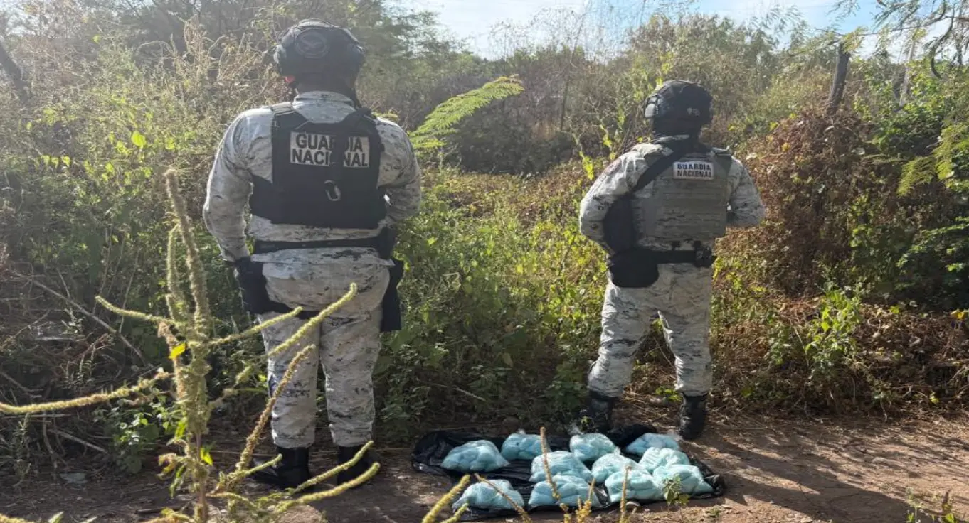 The Mexican Government's Security Cabinet reports on the results of Operation Northern Border on November 6, 2025. Photo: Government of Mexico.