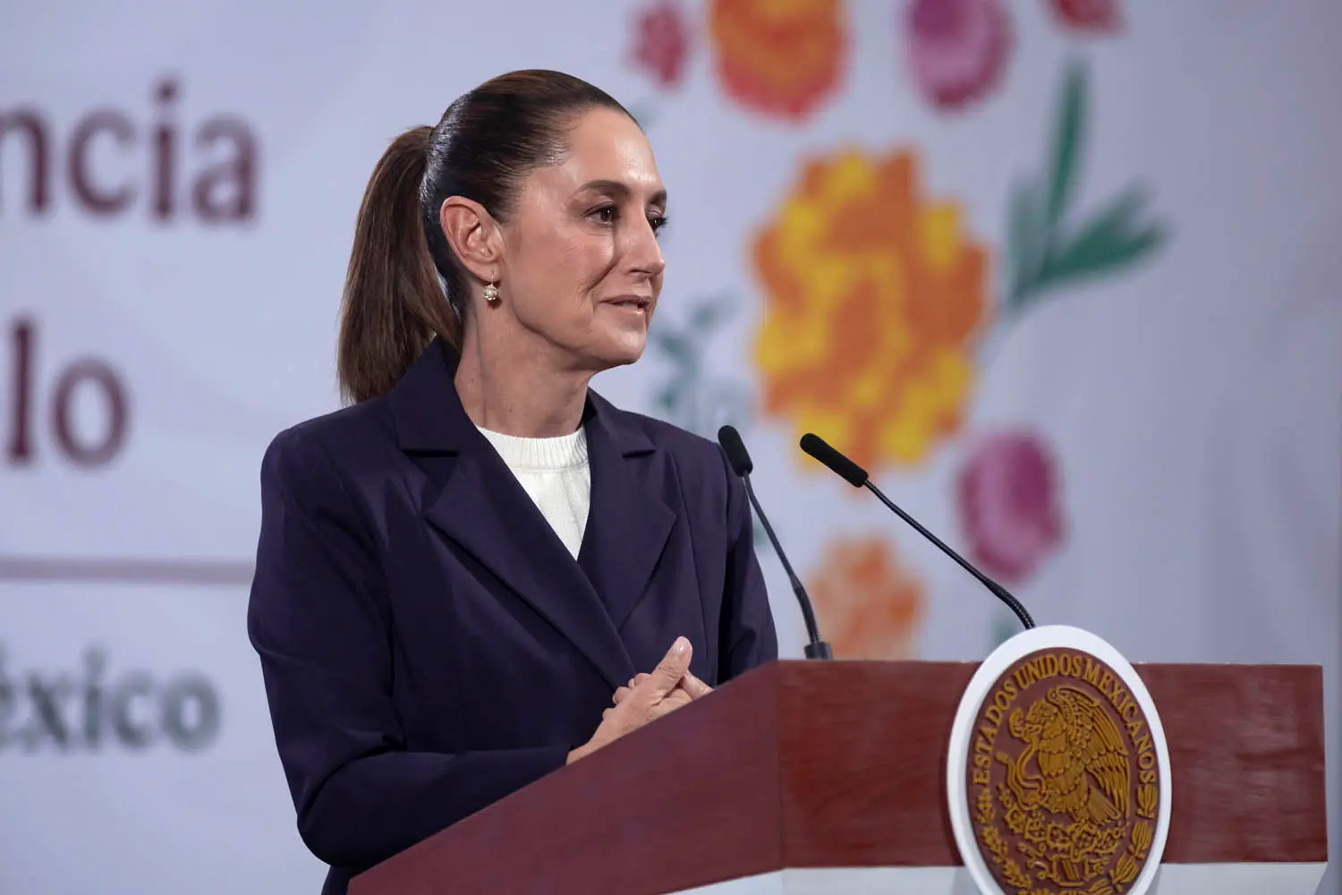 Morning Presidential Press Conference. Wednesday, November 5, 2025. Photo: Government of Mexico