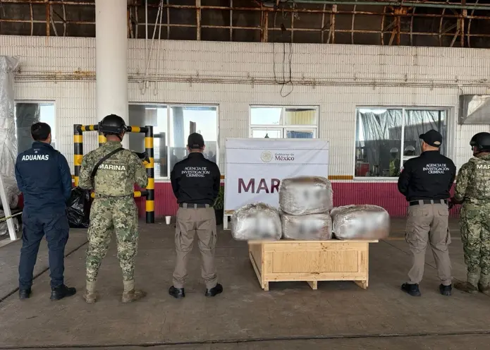 In coordinated actions by the Security Cabinet, arrests, search warrants, and seizures of firearms and various types of drugs were carried out in Baja California Sur, Coahuila, Colima, Guanajuato, Hidalgo, Puebla, Quintana Roo, Sinaloa, and Veracruz. Photo: Government of Mexico